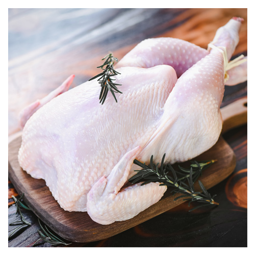 Whole chicken (from size 8 to size 16)
